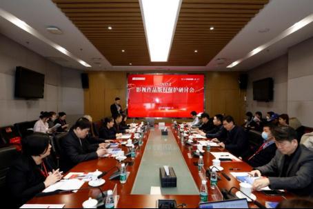 影視作品版權(quán)保護如何實現(xiàn)共治格局？業(yè)內(nèi)專家聯(lián)動獻策(圖4)